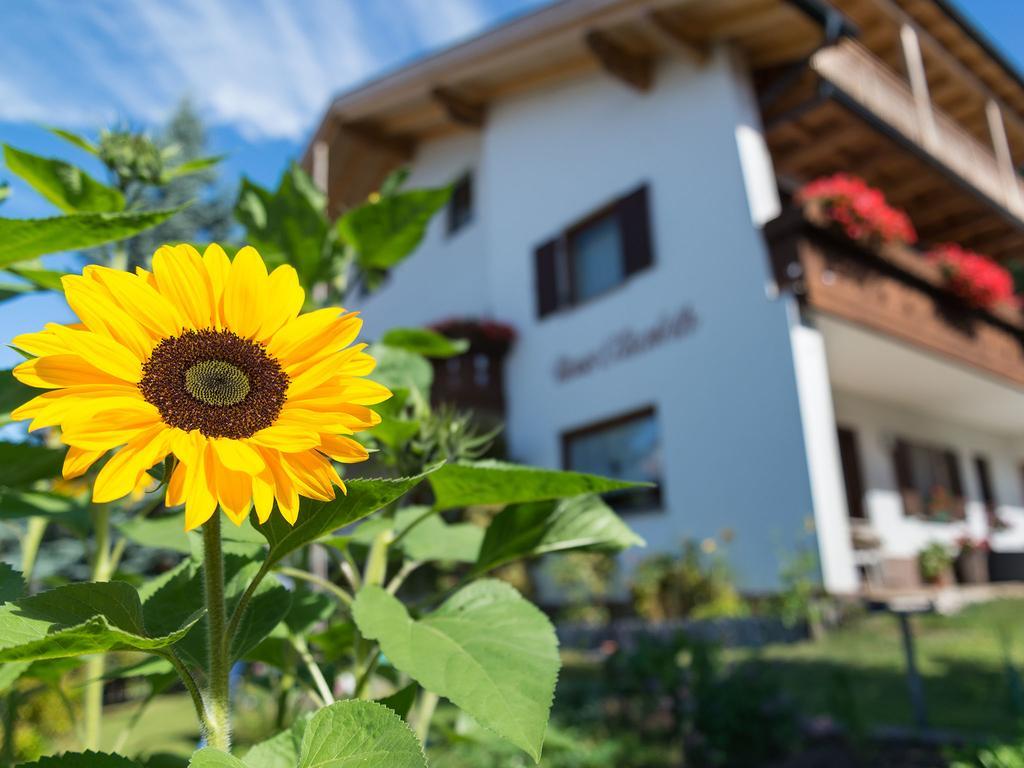 Hotel Haus Elisabeth Deutschnofen Exterior foto